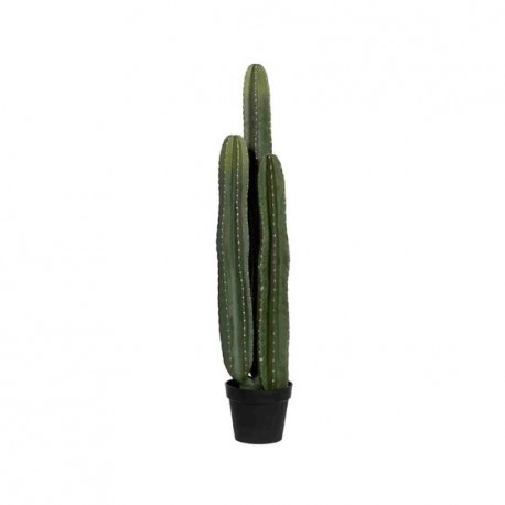 POTTERYPOTS Cactus San Pedro XL, Green F1016-100-91