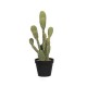 POTTERYPOTS Cactus Opuntia L, Green F1015-72-91