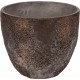 POTTERYPOTS Oyster Jesslyn Brown R1159-70-19